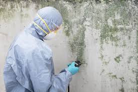 Best Mold Documentation for Insurance Claims  in Inkster, MI